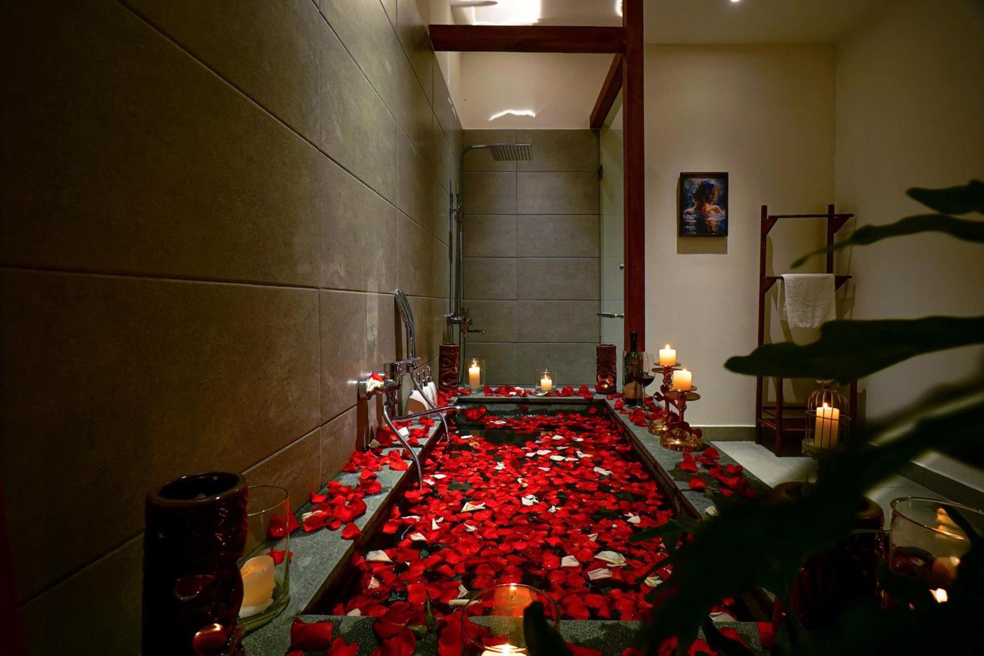 Nexus House Lang Bao Chi Căn hộ TP. Hồ Chí Minh