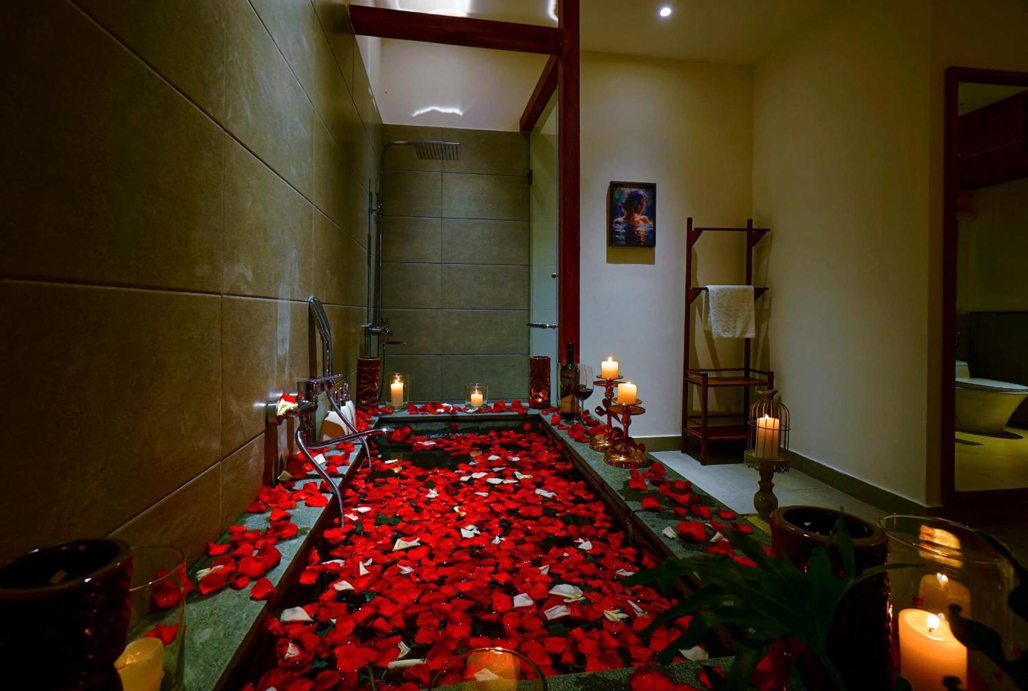 Căn hộ Nexus House Lang Bao Chi